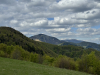 IMG_036466