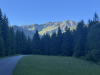 Salatin01