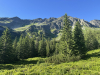 Salatin02