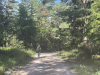 Tom_vyhlad_01