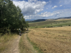 Tom_vyhlad_08