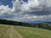 Tom_vyhlad_09