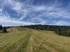 IMG_043438