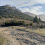 Chleb